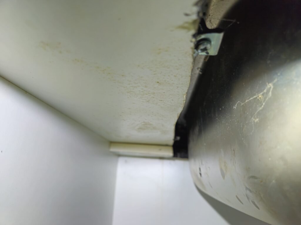 mold under kitchen sink in dubai