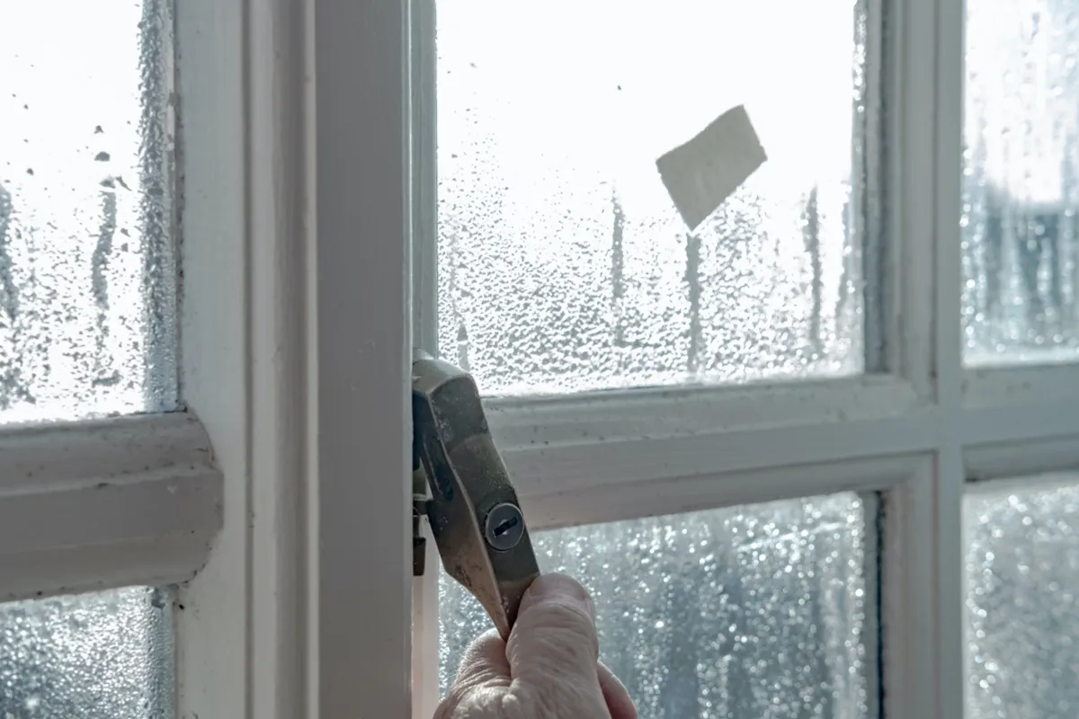 condensation due to open windows in dubai marina apartment