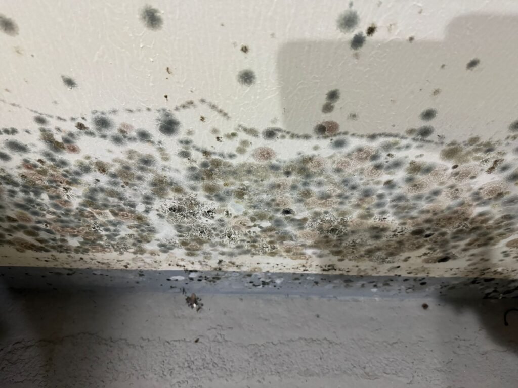 rain water damages on the floor wall in ICAD abu dhabi